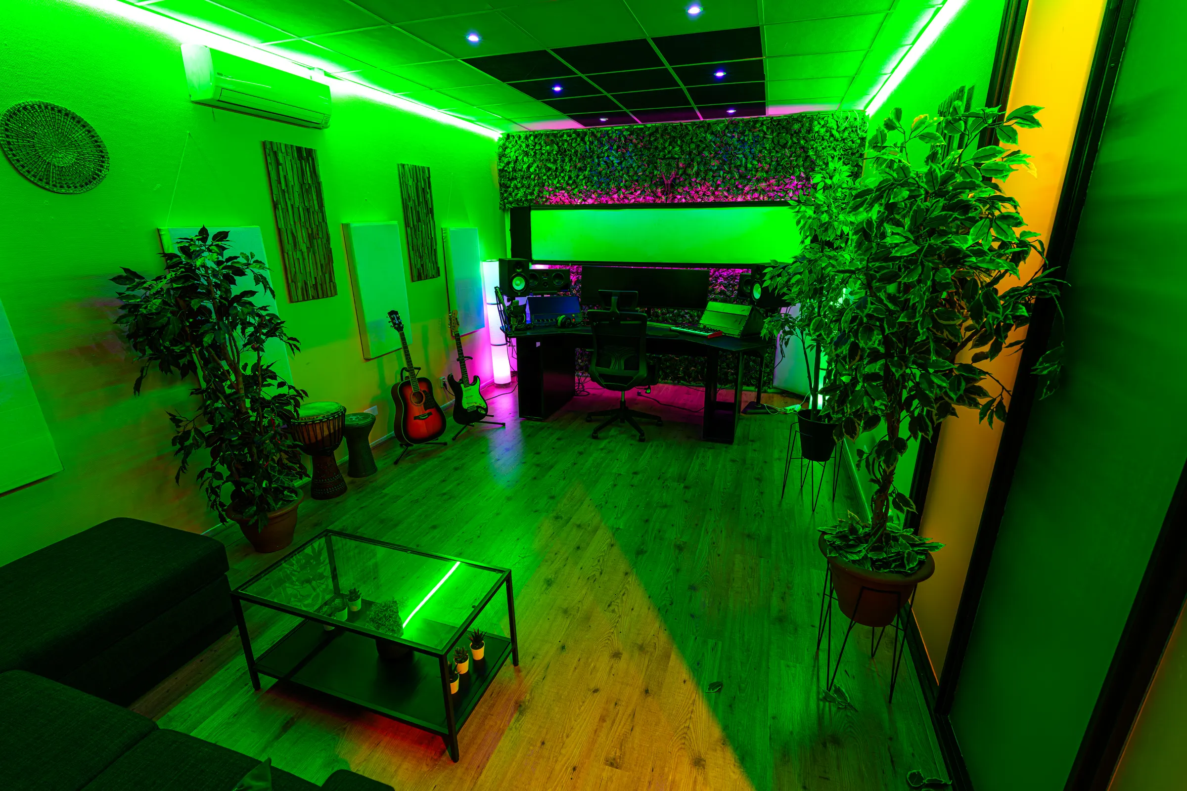 Studio 2 in groen licht met planten, zithoek en werkplek